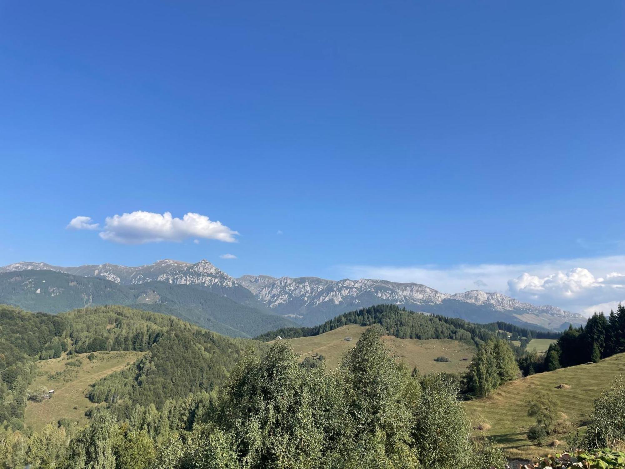 Casa Dudu Villa Moieciu de Jos Dış mekan fotoğraf